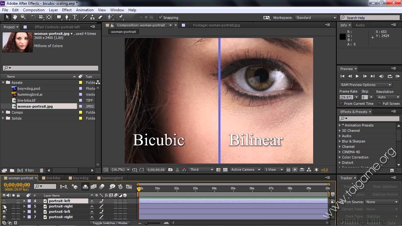 adobe after effects cc 2015 for mac torrent